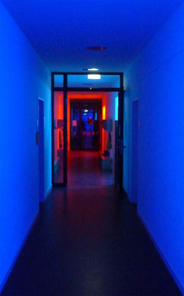 Day Care Center / LÜPS