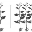 World of Chlorophyll (11) concept