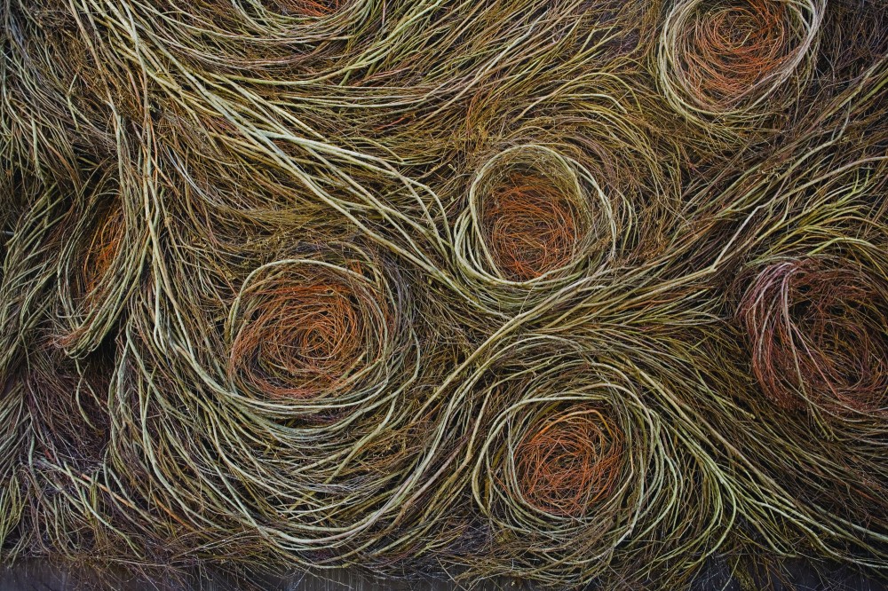Stickwork / Patrick Dougherty