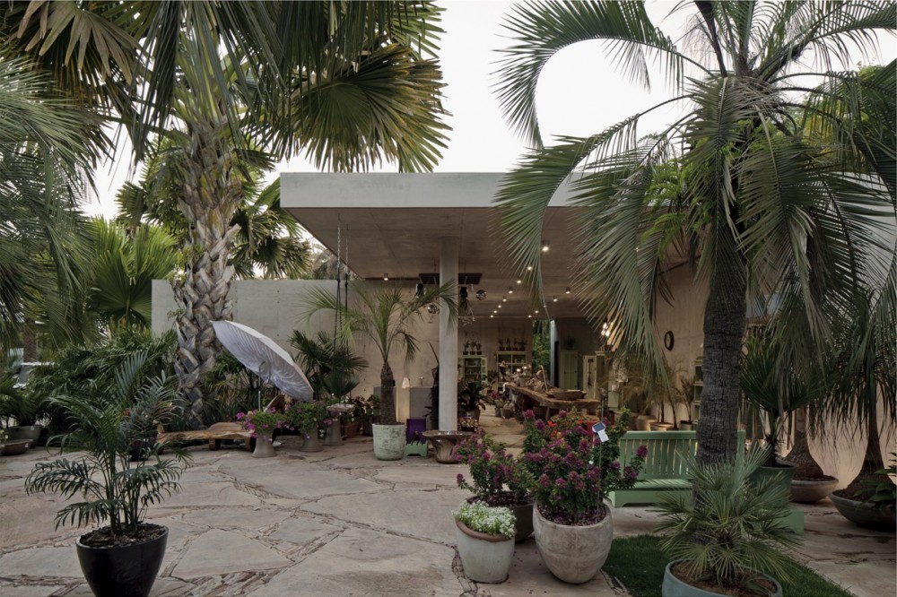 Botanical Shop / Rizoma