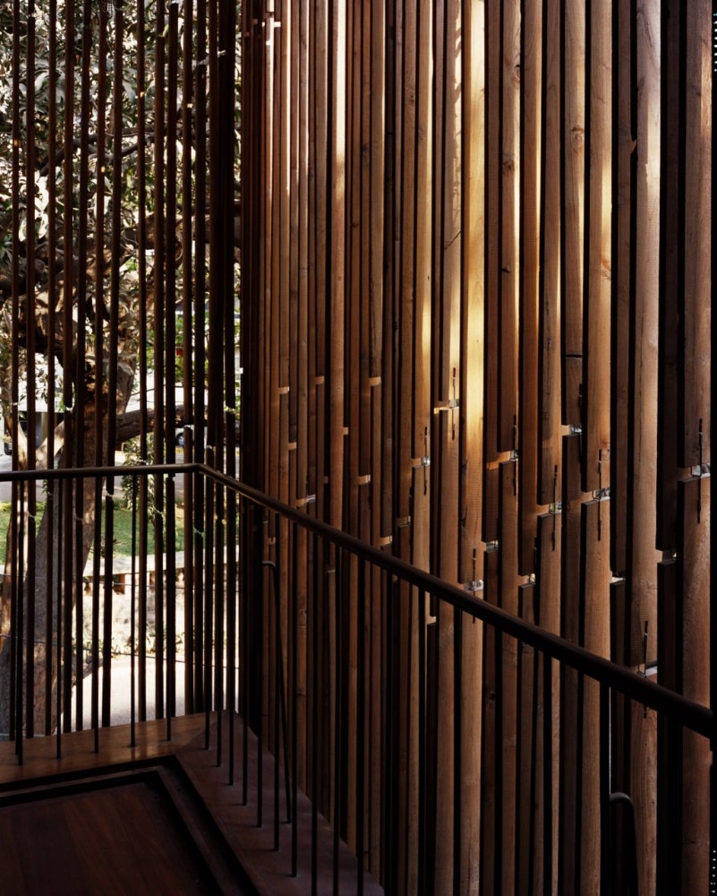 House on Pali Hill / Studio Mumbai