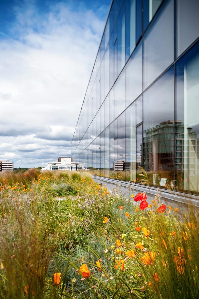 The Atrium / D’Ambrosio Architecture & Urbanism