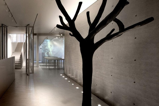 Tadao Ando Architecture Exhibition