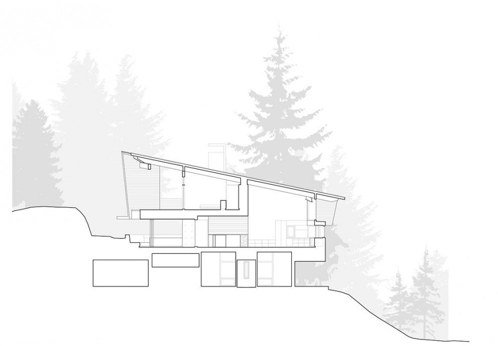 section section