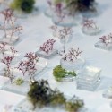Green Architecture Competition Proposal (7) model 04