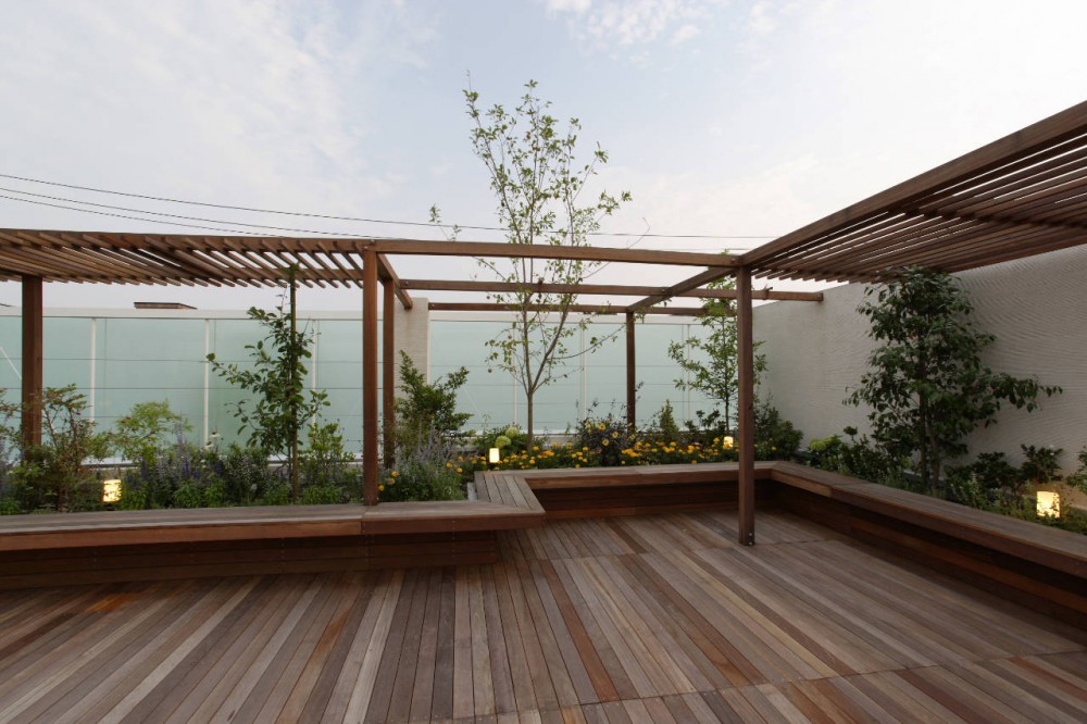 House Like a Museum / Edward Suzuki Associates