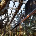 Under Pohutukawa / Herbst Architects Under Pohutukawa / Herbst Architects © Patrick Reynolds