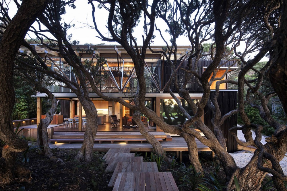 Under Pohutukawa / Herbst Architects © Patrick Reynolds