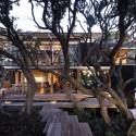 Under Pohutukawa / Herbst Architects Under Pohutukawa / Herbst Architects © Patrick Reynolds