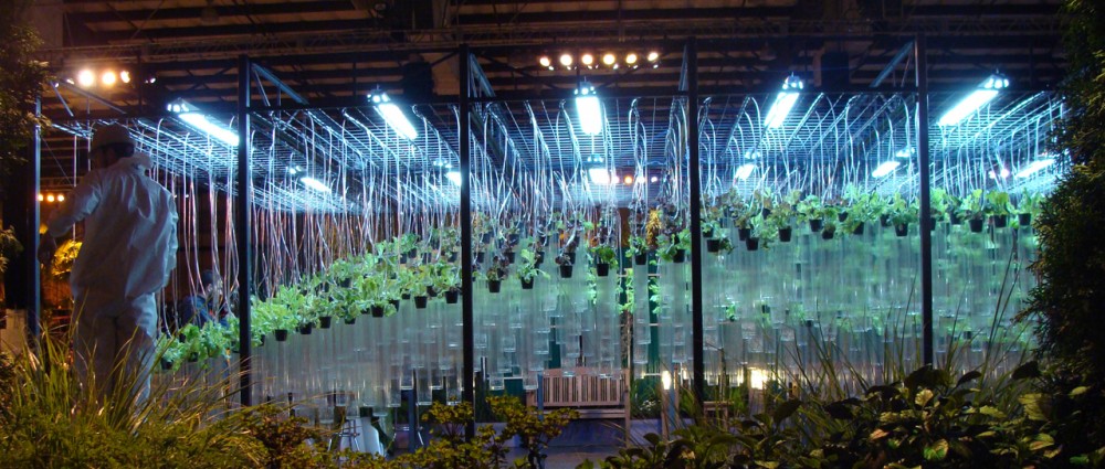 Stocking the City: A new ArchDaily series