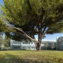 NASA Sustainability Base / William McDonough + Partners and AECOM (9) NASA Sustainability Base exterior with stone pine © César Rubio, courtesy William McDonough + Partners