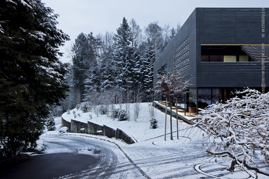 Kastanienbaum Twin Houses / Lussi + Halter