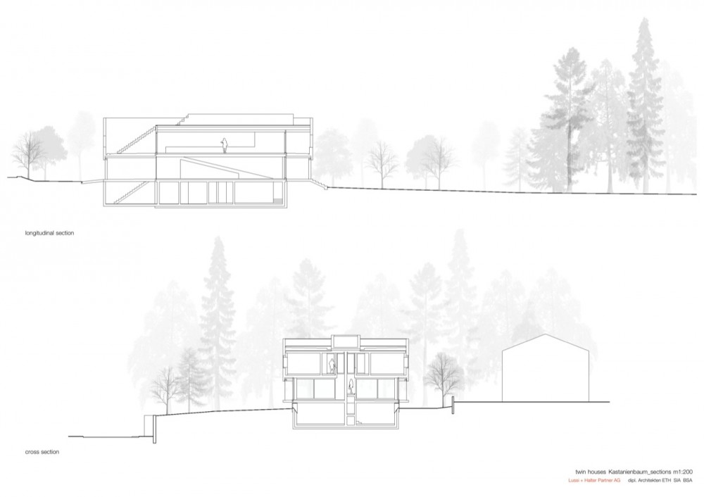 Kastanienbaum Twin Houses / Lussi + Halter