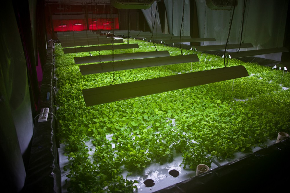 The Plant: An Old Chicago Factory is Converted into a No-Waste Food Factory