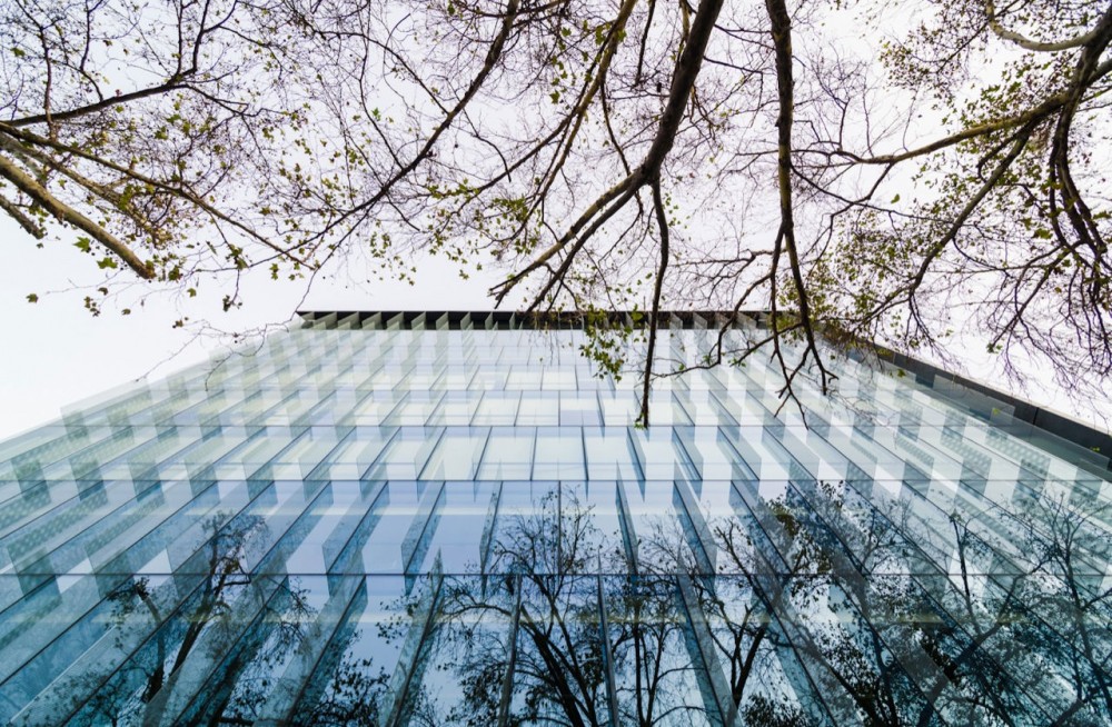 Ombu Building / Mas Fernandez Architects