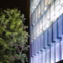 Ombu Building / Mas Fernandez Architects Ombu Building / Mas Fernandez Architects © Felipe Fontecilla
