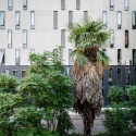 Ombu Building / Mas Fernandez Architects Ombu Building / Mas Fernandez Architects © Felipe Fontecilla