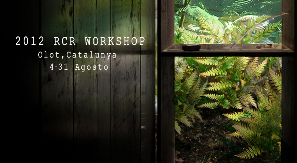 2012 RCR Workshop