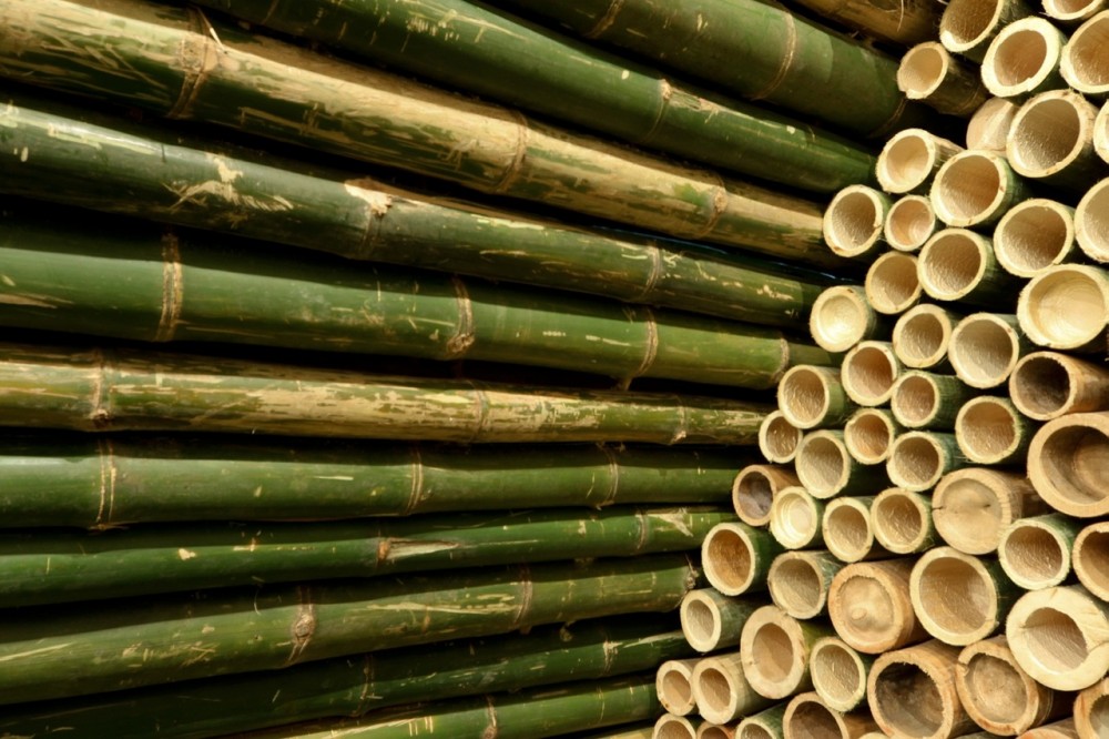 Bamboo Booth 2012 / Vo Trong Nghia
