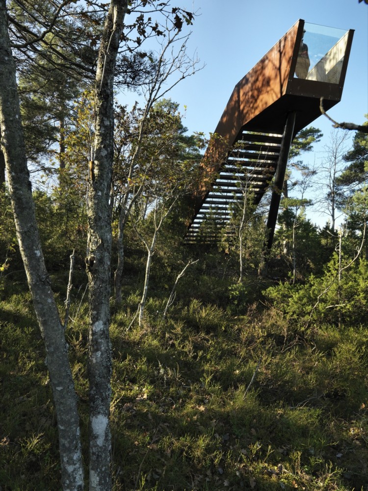 Forest Stair in Stokke / Saunders Architecture