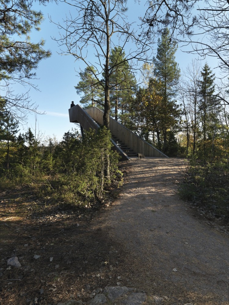 Forest Stair in Stokke / Saunders Architecture