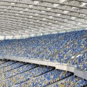 Kiev Olympic Stadium / GMP Architekten