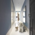 Tusculum Residence / Smart Design Studio Tusculum Residence / Smart Design Studio Courtesy of Smart Design Studio