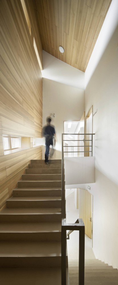 Cocoon / Mochen Architects & Engineers