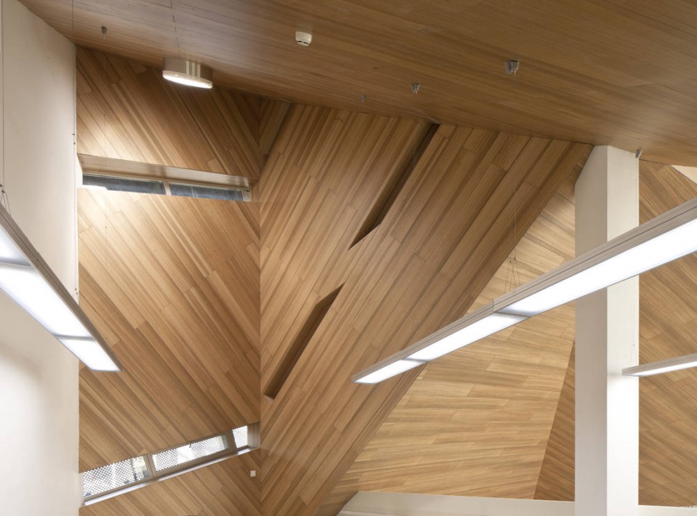 Cocoon / Mochen Architects & Engineers