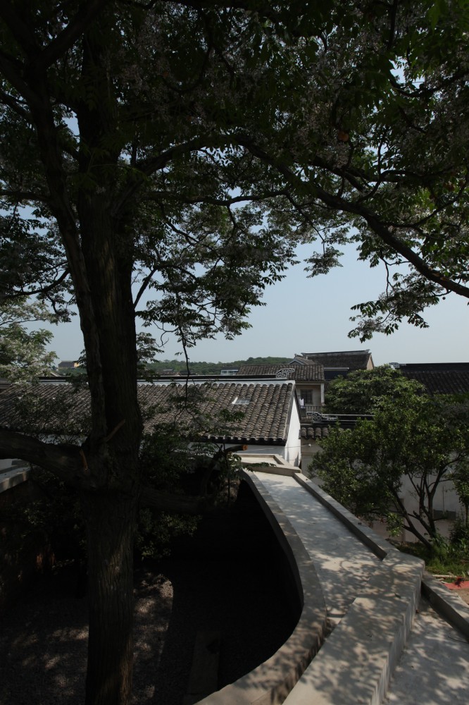 Twin Trees Pavilion / Atelier Archmixing