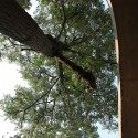 Twin Trees Pavilion / Atelier Archmixing (12) © Tang Yu