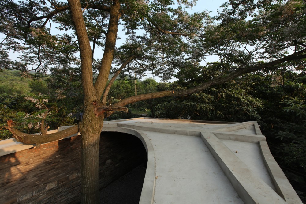 Twin Trees Pavilion / Atelier Archmixing