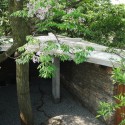 Twin Trees Pavilion / Atelier Archmixing (8) © Tang Yu