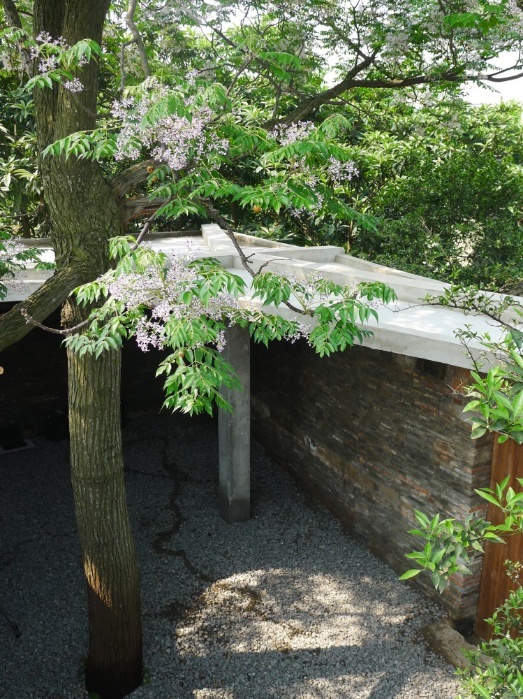 Twin Trees Pavilion / Atelier Archmixing