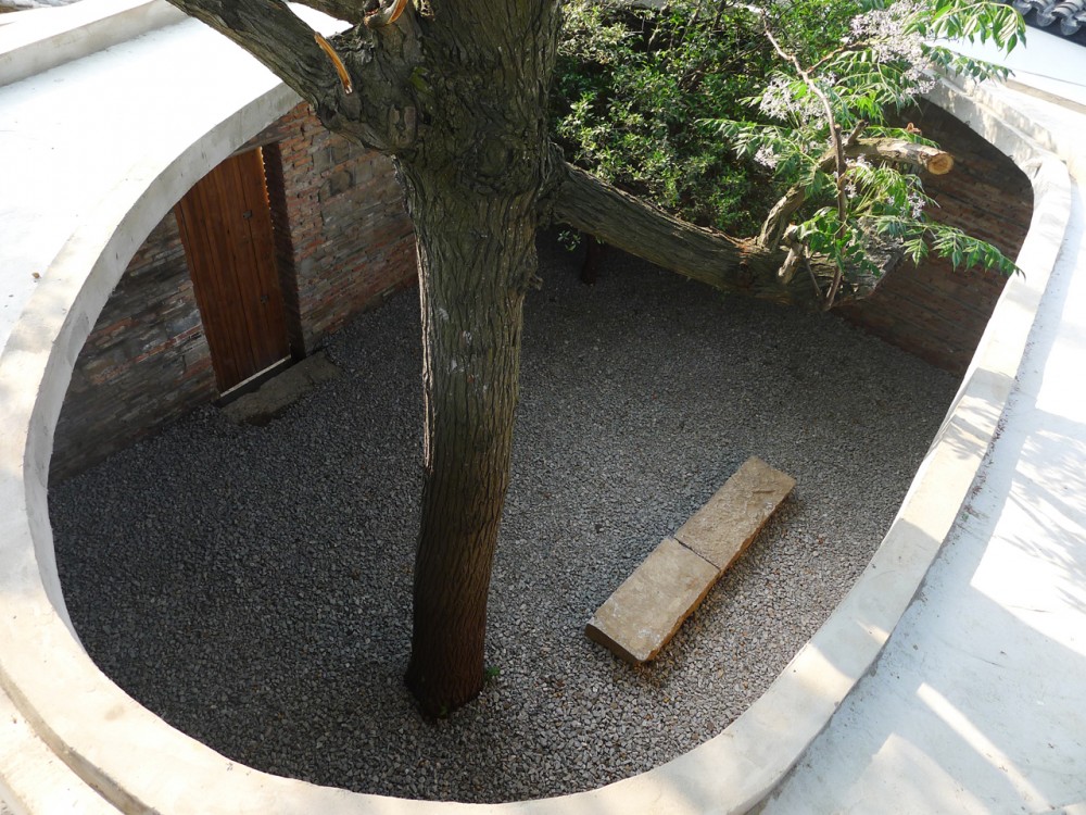 Twin Trees Pavilion / Atelier Archmixing