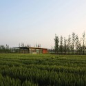 Harvest Pabilion / Vector Architects © Shu He Photo