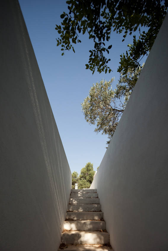 House of Agostos / Pedro Domingos Arquitectos