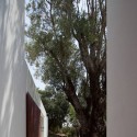 House Of Agostos / Pedro Domingos Arquitectos © FG+SG