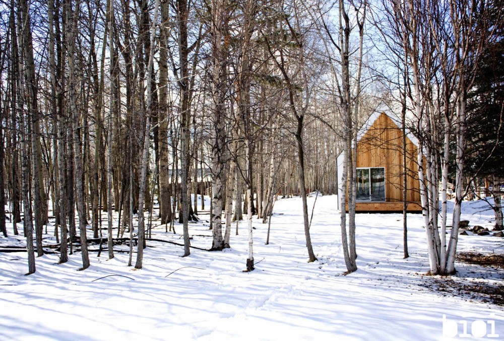 Warburg House / bioi