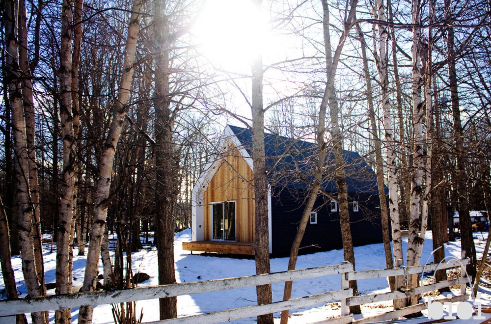 Warburg House / bioi