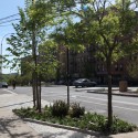 Hunts Point Landing on the South Bronx Greenway / Mathews Nielsen Landscape Architects Hunts Point Landing on the South Bronx Greenway / Mathews Nielsen Landscape Architects Lafayette Ave Planting © Mathews Nielsen Landscape Architects