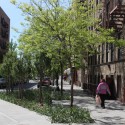 Hunts Point Landing on the South Bronx Greenway / Mathews Nielsen Landscape Architects Hunts Point Landing on the South Bronx Greenway / Mathews Nielsen Landscape Architects Hunts Point Ave Sidewalk Planting © Mathews Nielsen Landscape Architects