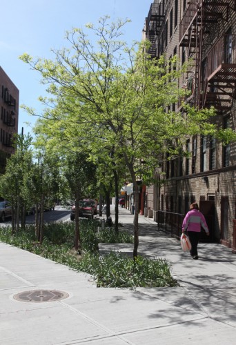 Hunts Point Landing on the South Bronx Greenway / Mathews Nielsen Landscape Architects