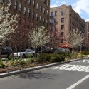 Hunts Point Landing on the South Bronx Greenway / Mathews Nielsen Landscape Architects Hunts Point Landing on the South Bronx Greenway / Mathews Nielsen Landscape Architects Lafayette Ave Median © Mathews Nielsen Landscape Architects