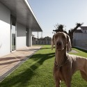 Xieira House II / A2 + Arquitectos © FG+SG
