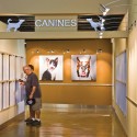 Palm Springs Animal Care Facility / Swatt Miers Architects Palm Springs Animal Care Facility / Swatt Miers Architects © Mark Davidson Photography