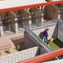 Palm Springs Animal Care Facility / Swatt Miers Architects Palm Springs Animal Care Facility / Swatt Miers Architects © Mark Davidson Photography