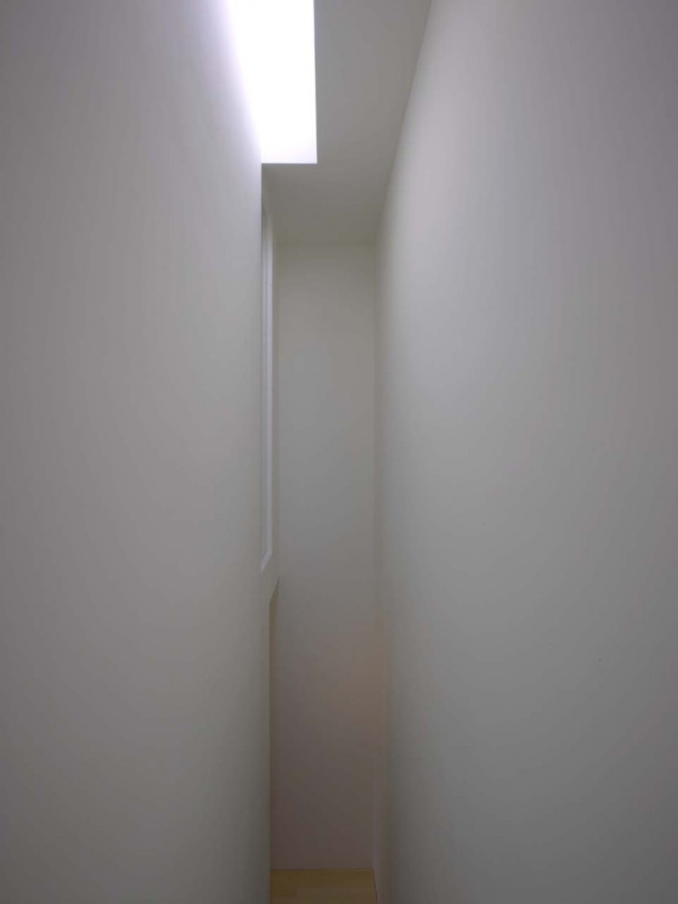 House Ijburg / Rocha Tombal Architects
