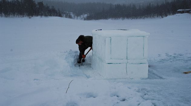 Survival Architecture Workshop