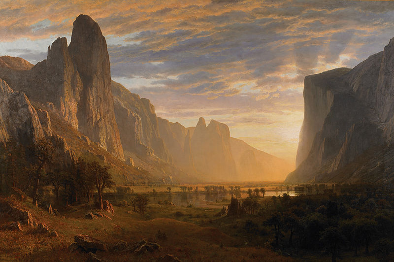 The Indicator: AIA2012 and the Pastoral Ideal